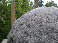P7310008.JPG