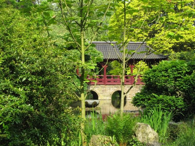 [japanischer Garten und Rheinauen 042[3].jpg]