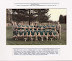 Thumbnail - Senior Teams