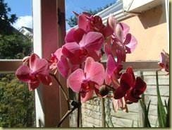DSCF0091 DSCF0091
