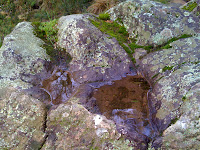 IMG_0056.jpg (Halls Gap, Victoria, Australia) Photo IMG_0056.jpg (Halls Gap, Victoria, Australia) Photo