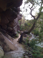 IMG_0057.jpg (Halls Gap, Victoria, Australia) Photo IMG_0057.jpg (Halls Gap, Victoria, Australia) Photo