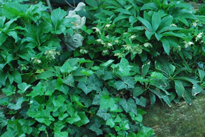 DSC_0242 DSC_0242