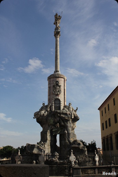 IMG_3525 IMG_3525
