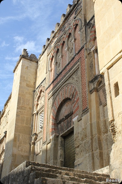 IMG_3529 IMG_3529