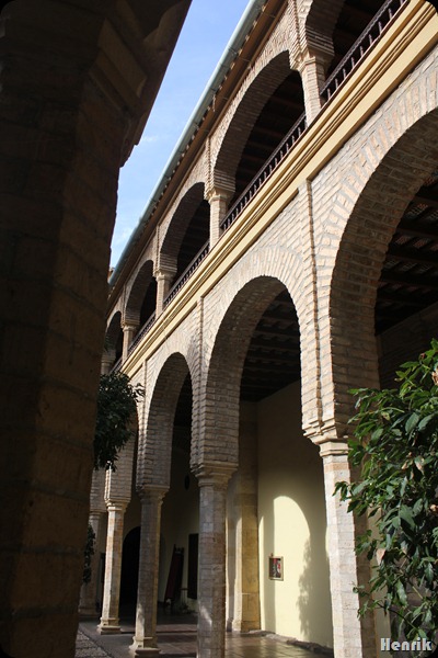 IMG_3541 IMG_3541