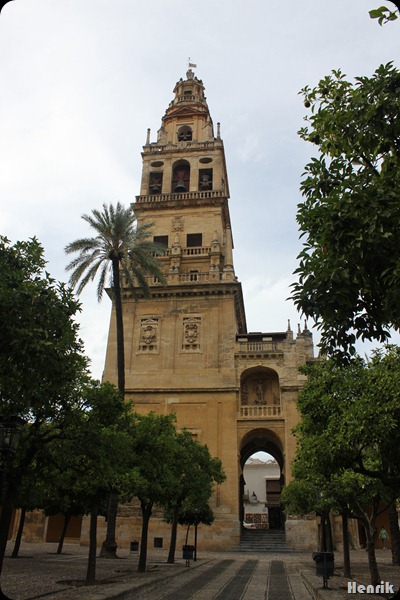 IMG_3559 IMG_3559