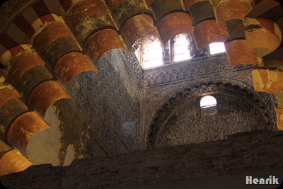 IMG_3755 IMG_3755