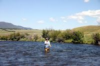 IMG_9878.JPG Photo