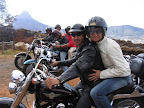 Harley Davidson Transfers.jpg