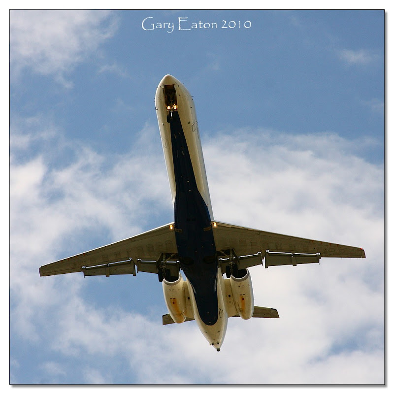 IMAGE: http://lh3.ggpht.com/_rSR7KcWAKvs/S79SPpytjSI/AAAAAAAAE4k/C8-EZQ5RiN4/s800/IMG_9966_16x16.jpg