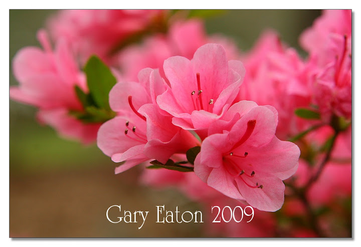 IMAGE: http://lh3.ggpht.com/_rSR7KcWAKvs/Sceahty1O7I/AAAAAAAAD90/kqtEEDbkYdk/s720/IMG_6320.jpg