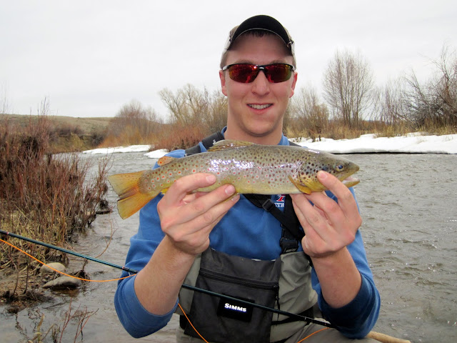 Mike Brown Trout