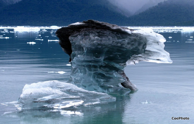 Iceberg
