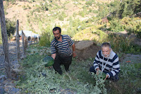 IMG_9335.JPG