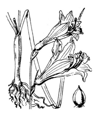 G. di S. Giovanni