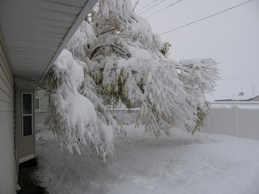 [20101121008_[3].jpg]