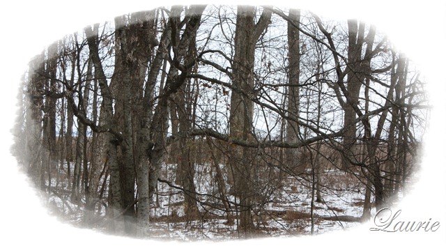 [mltg-snow2.jpg]