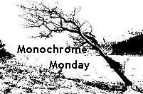 [Monochrome Monday[6].jpg]