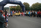 IMG_3394.JPG