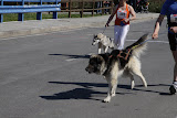 IMG_0173.JPG