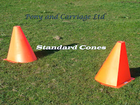 FEI Carriage driving HDT Cones Solid&nbsp;Type