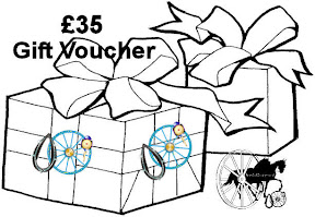 Carriage Driving £35 Gift Voucher Certificates