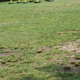 IMG_3386.JPG