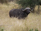 Hluhluwe Umfolozi Game Reserve Slideshow