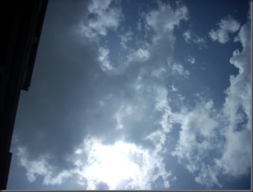 DSCN6131 DSCN6131