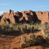 Can you tell we are in the desert?
