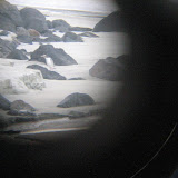 Trying a bit of artistic expression - picture taken through binocular lense