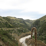 IMG_6375.JPG