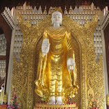 The huge statue inside the Burmese Buddhist Temple.  Hundreds of smaller white statues adorn the walls.