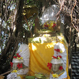 One of the numerous Hindu offerings around the area in Bali.