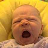 DSC_9014.NEF.jpg