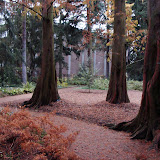 'DSC08032.JPG'