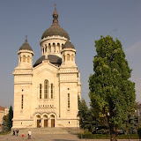 DSC_0502.JPG