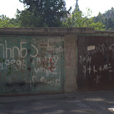 IMG_7585.jpg
