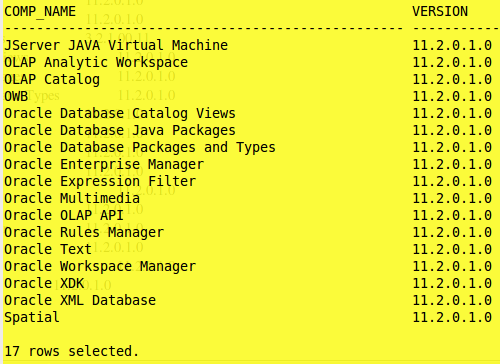 Install Workspace Manager Oracle 11G Database