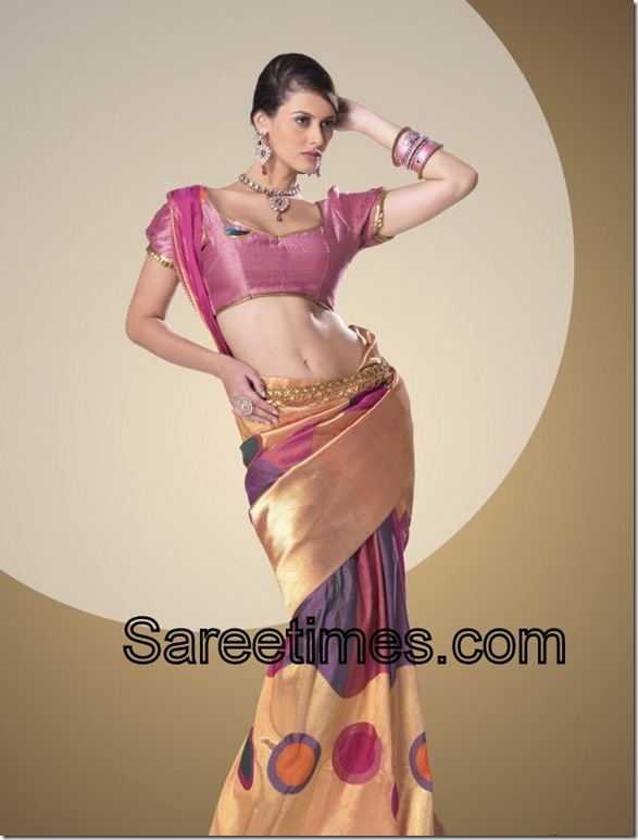 Gold_Purpel_Designer_Traditinal_Saree