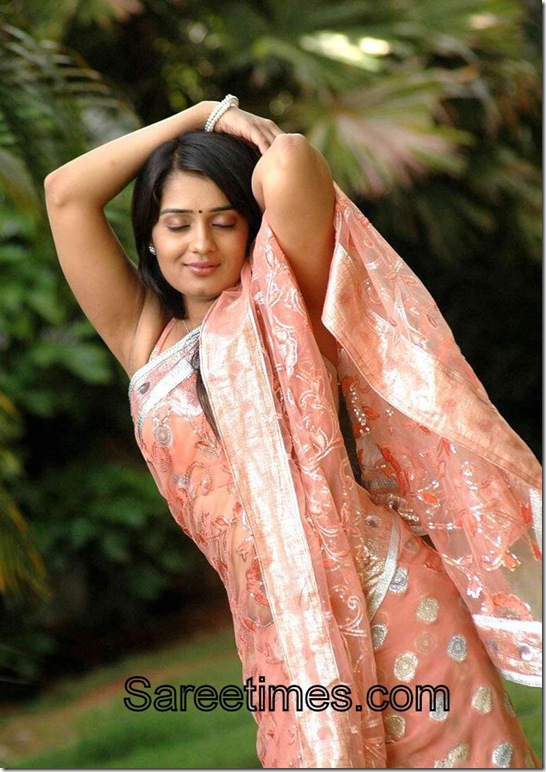 Nikitha_Orange_Designer_Saree