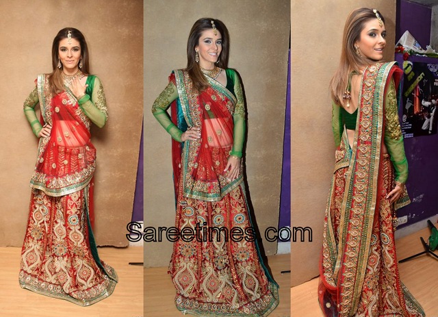 [Raageshwari_Red_Designer_Saree[4].jpg]