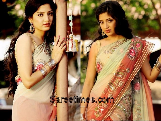 [Poonam Kaur_Cream_Maroon_Designer_Saree[4].jpg]
