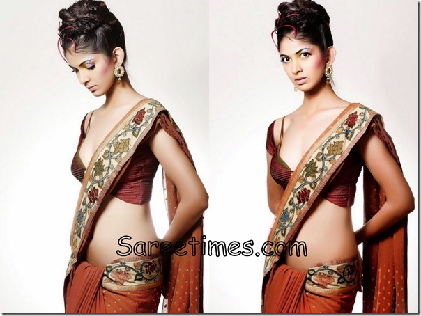 Reha_Brown_Designer_Saree