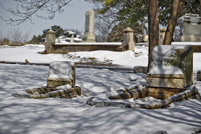 feb28_snow _17 of 17_.jpg