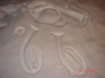 DSC00721.JPG