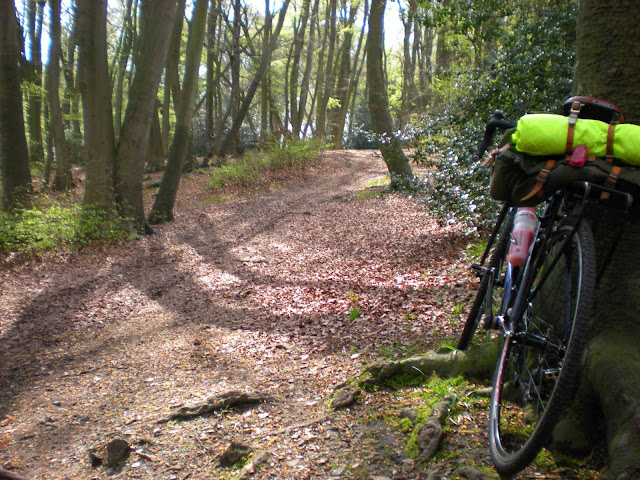 Passed through this great looking woods, could see some nice looking singletrack and funky bombholes which merit coming back to play in.
