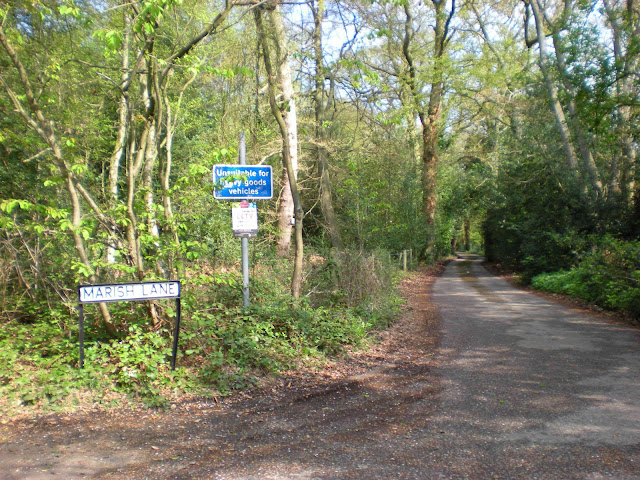This lane started out well surfaced but degenerated into pot-holed madness strewn with rubish from fly tippers.