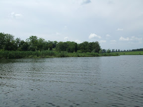 DSCF2823.JPG